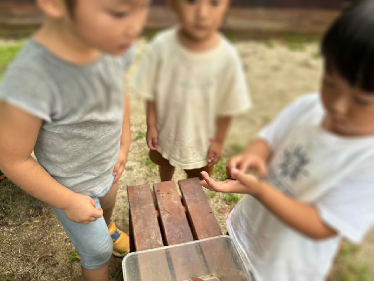 大根が育つ土を作る