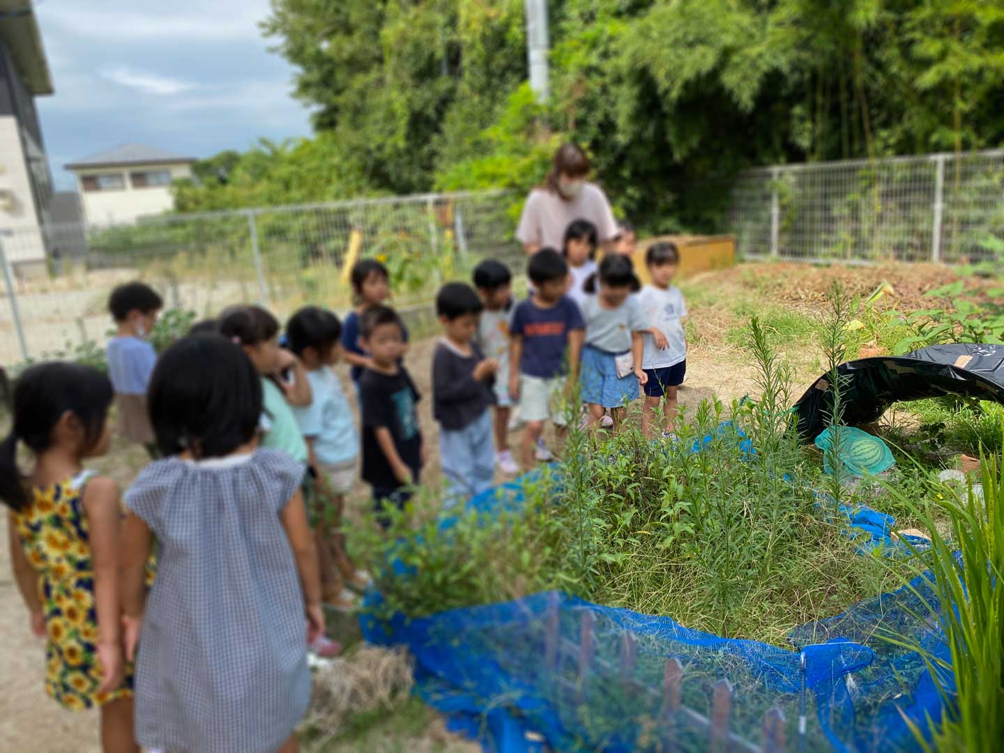中庭のスイカ