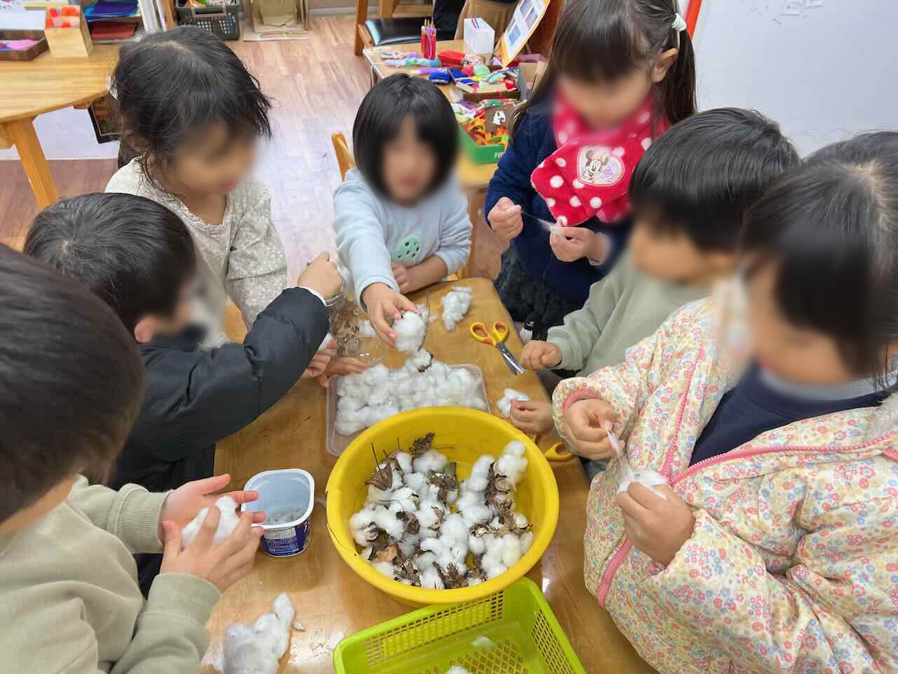 中庭で育てたコットンでぬいぐるみ製作