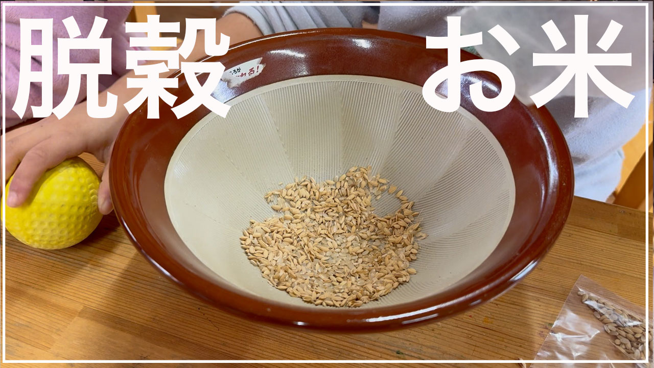 脱穀【年長組】歌いながら楽しく作業